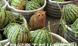 吃瓜网51爆料九台,揭秘娱乐圈背后的惊人内幕